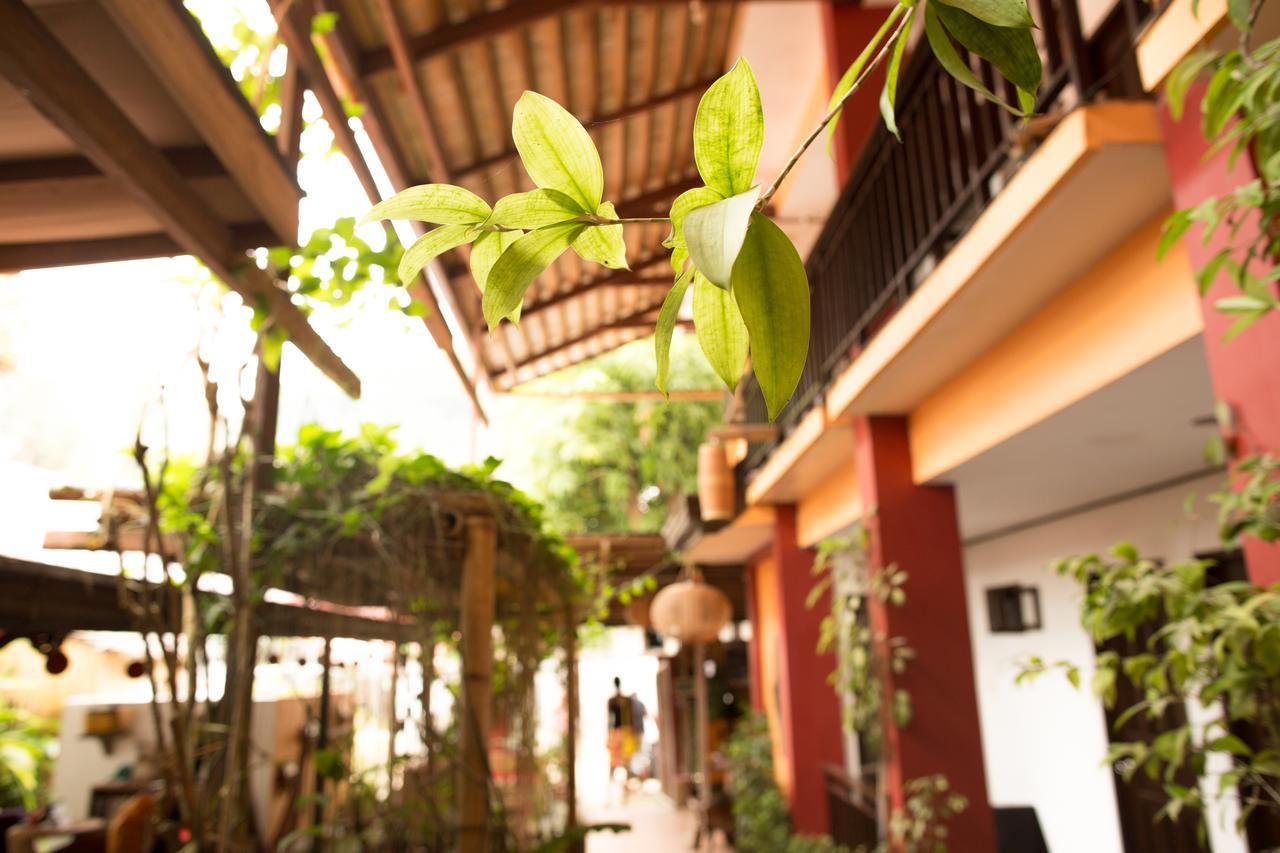 bahay-panuluyan Bulskamp (adults Only) El Nido